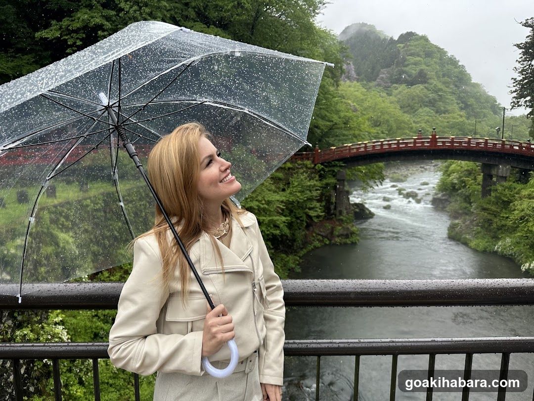 Amigo Tours Tokyo