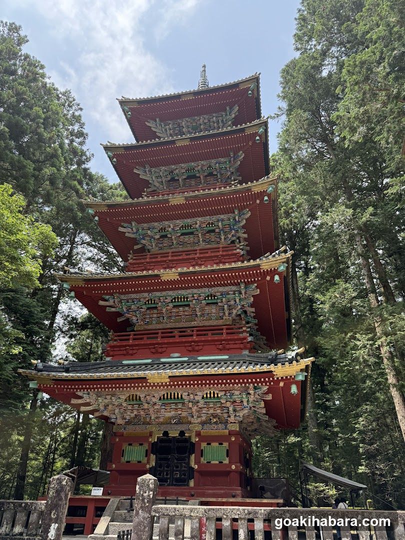 Amigo Tours Tokyo