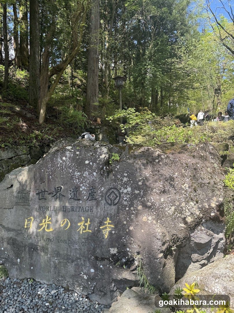 Amigo Tours Tokyo