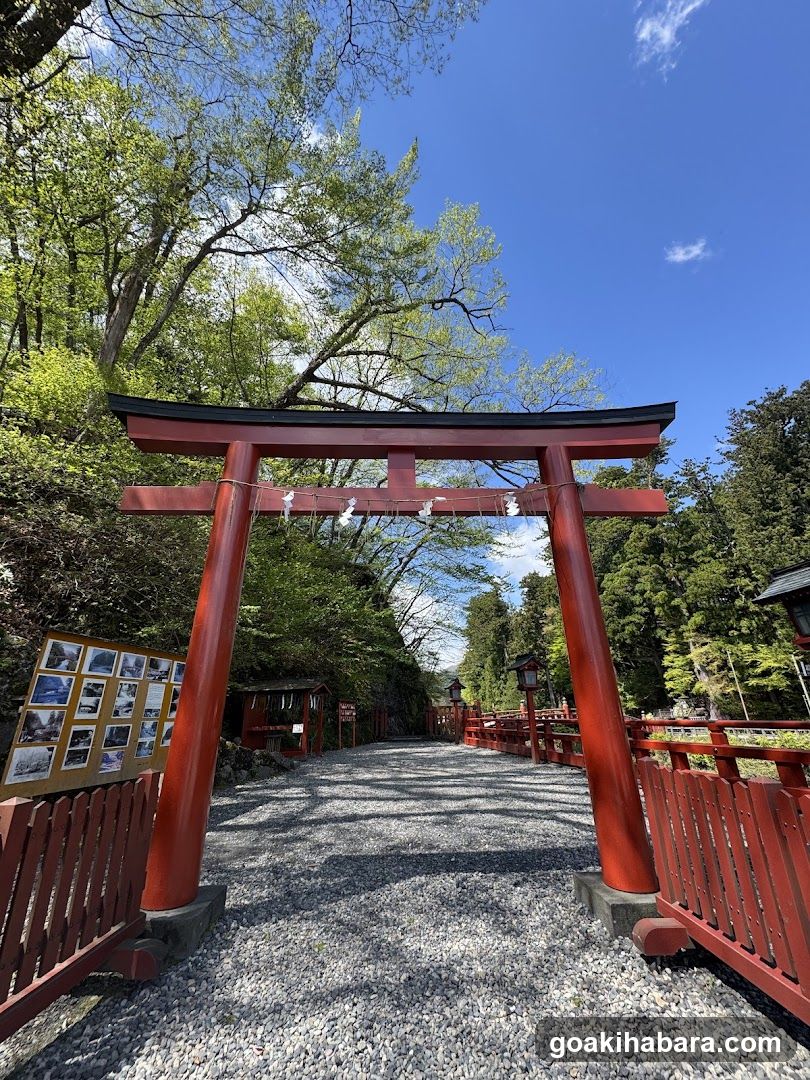 Amigo Tours Tokyo