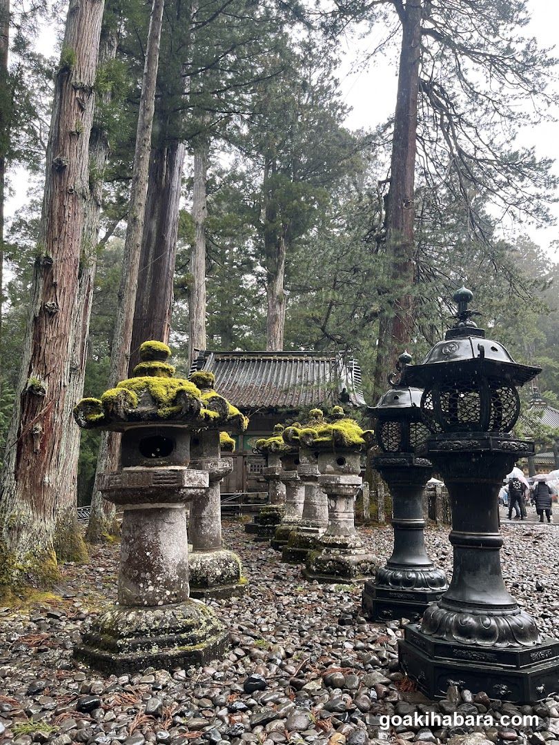Amigo Tours Tokyo