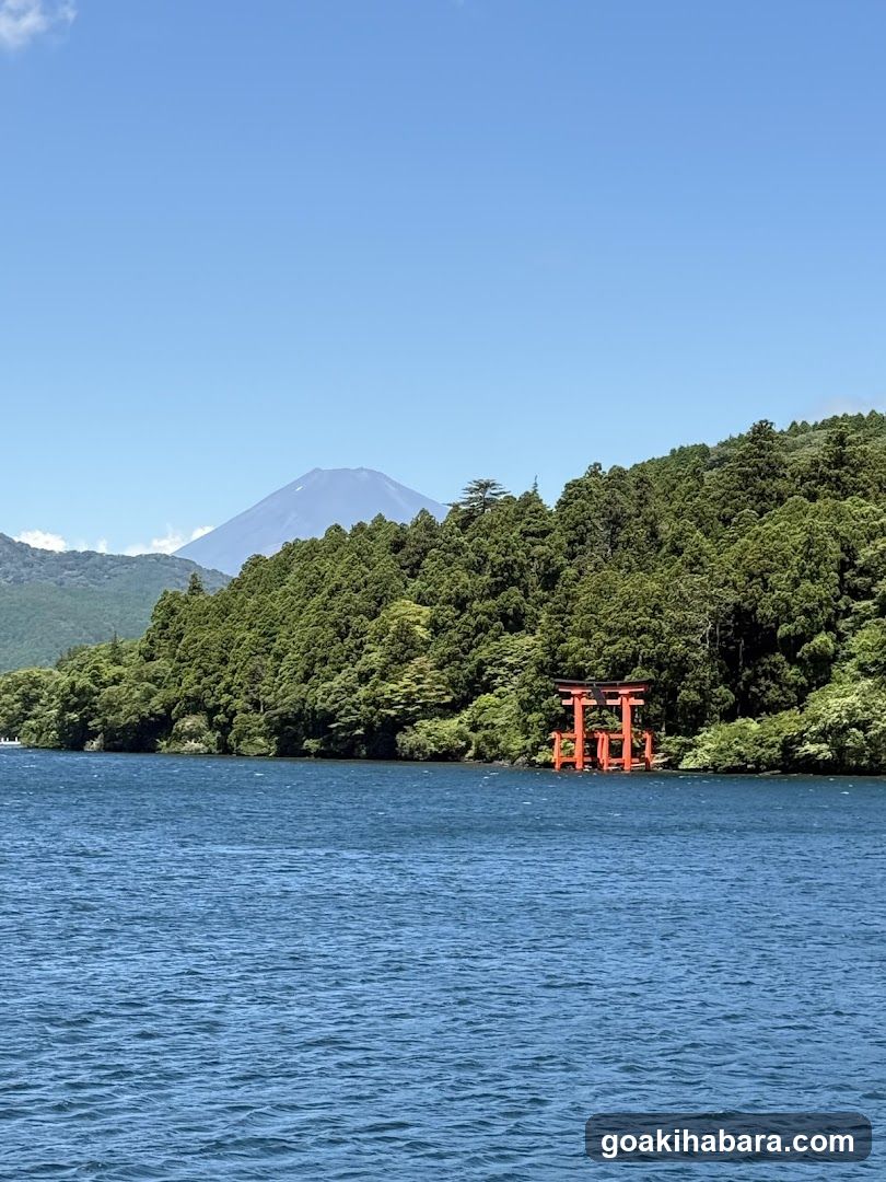 Amigo Tours Tokyo