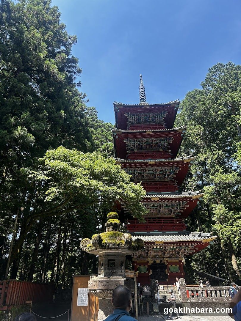 Amigo Tours Tokyo
