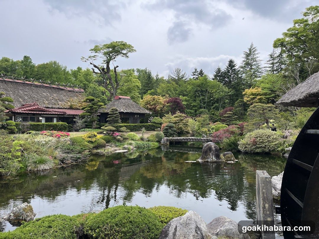 Amigo Tours Tokyo