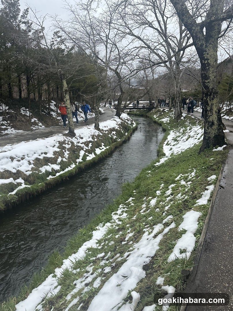 Amigo Tours Tokyo