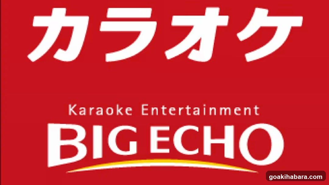 Bounce Luggage Storage - Big Echo Akihabara Showa Dori Ekimae Store
