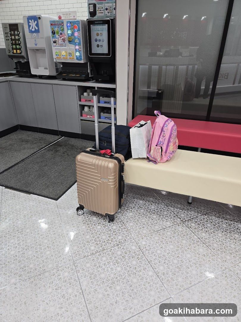 Bounce Luggage Storage - Big Echo Akihabara Showa Dori Ekimae Store