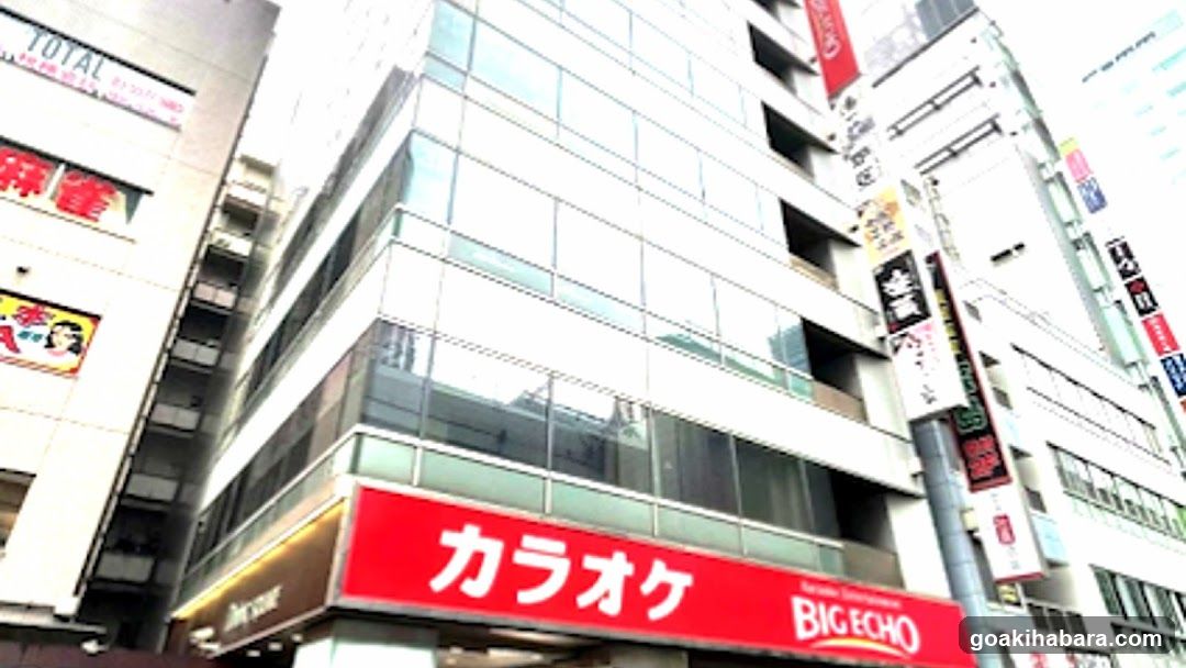 Bounce Luggage Storage - Big Echo Akihabara Showa Dori Ekimae Store