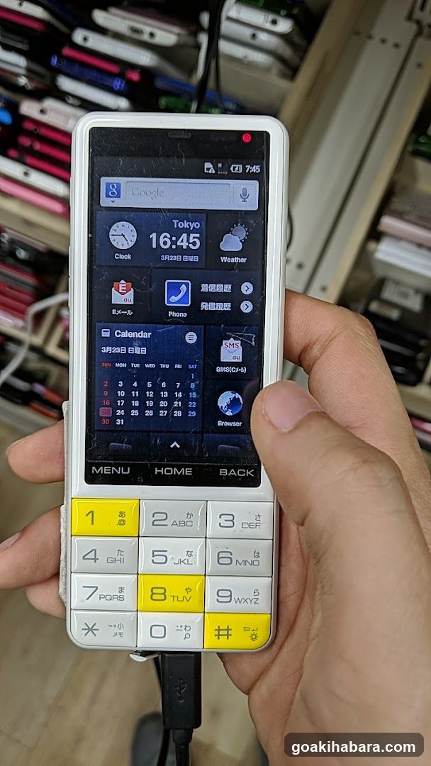 World Mobile