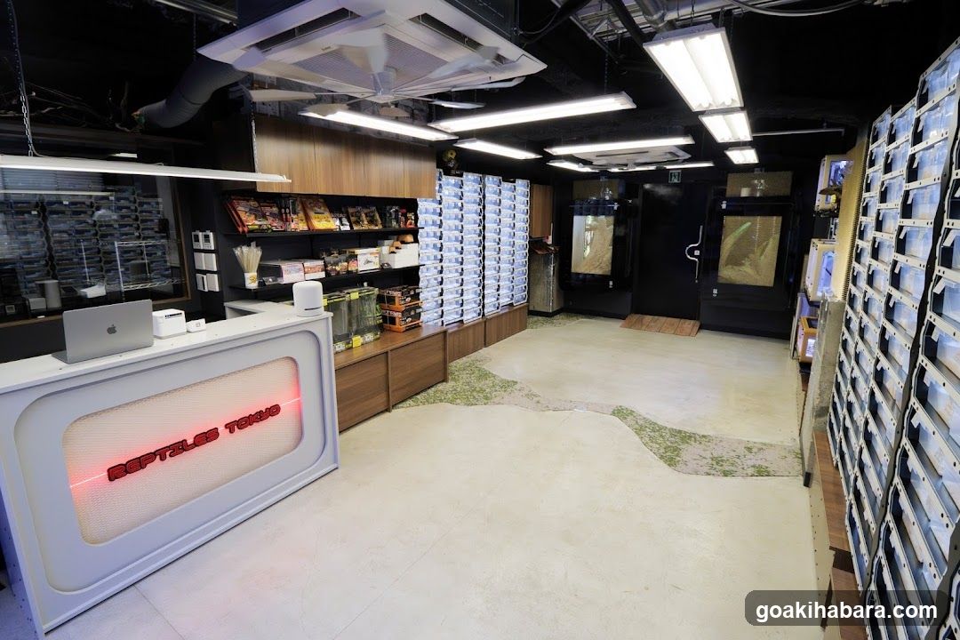 REPTILES TOKYO 秋葉原本店