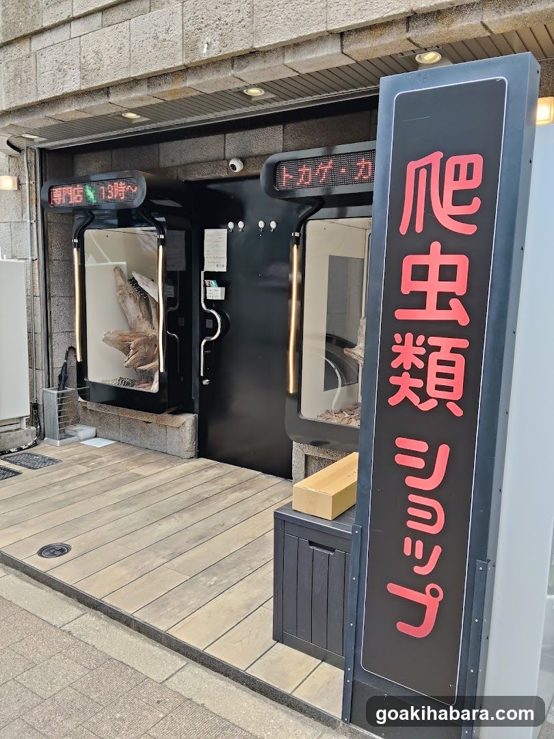 REPTILES TOKYO 秋葉原本店
