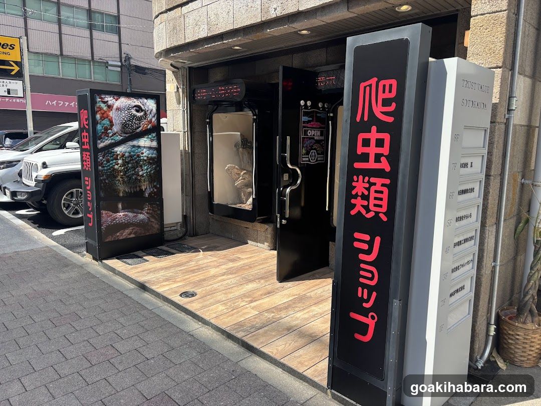REPTILES TOKYO 秋葉原本店