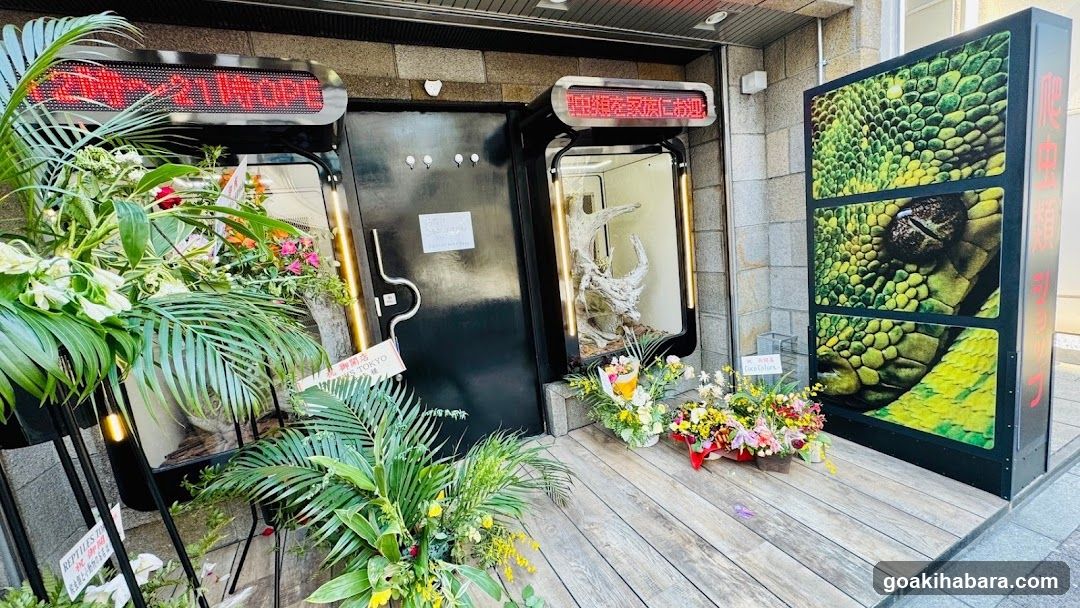 REPTILES TOKYO 秋葉原本店