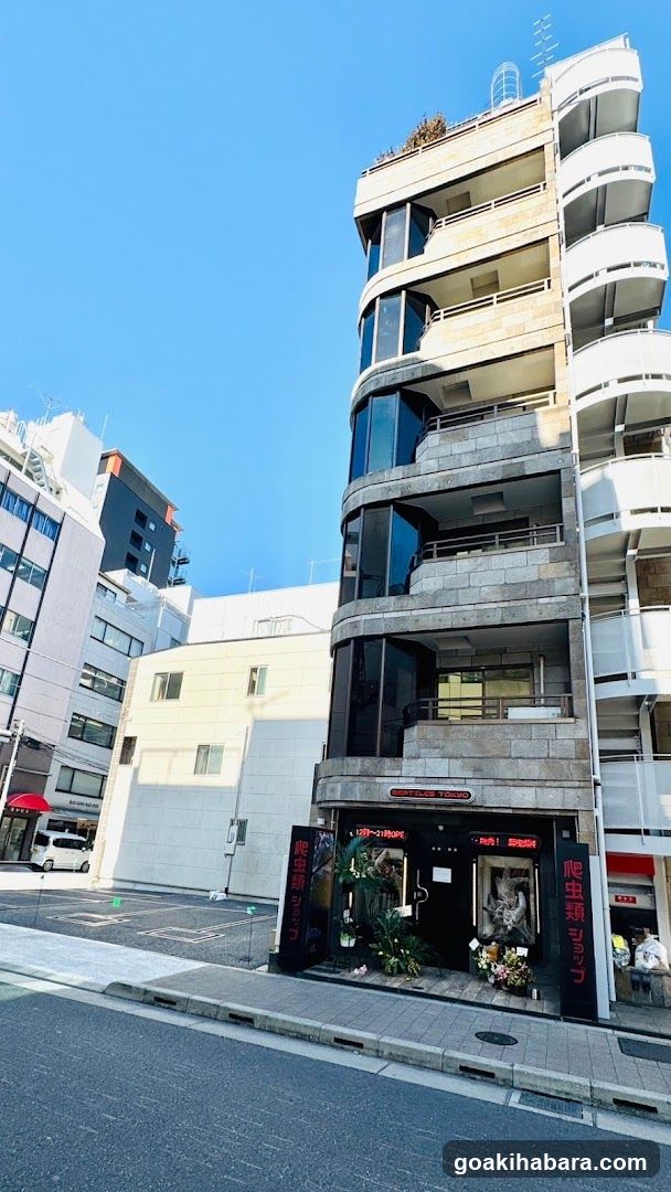REPTILES TOKYO 秋葉原本店