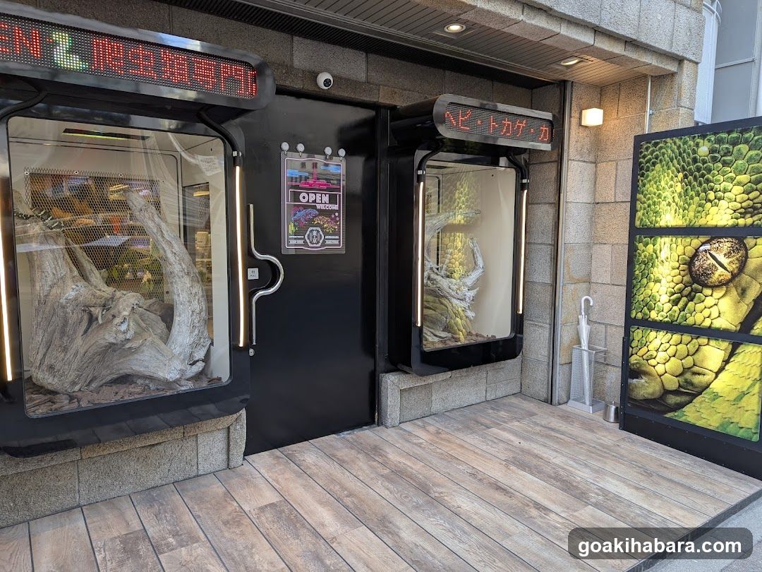 REPTILES TOKYO 秋葉原本店