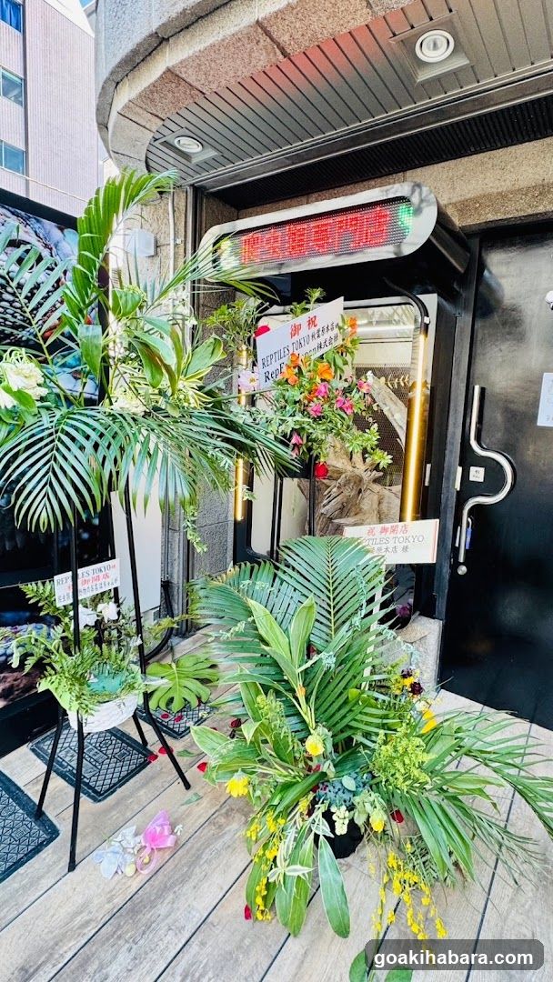 REPTILES TOKYO 秋葉原本店
