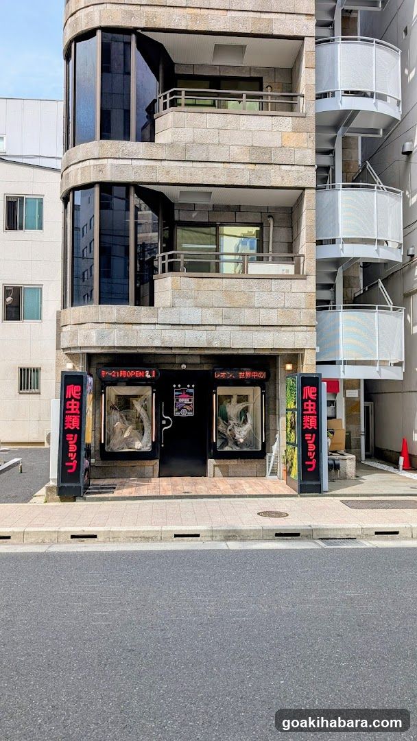 REPTILES TOKYO 秋葉原本店