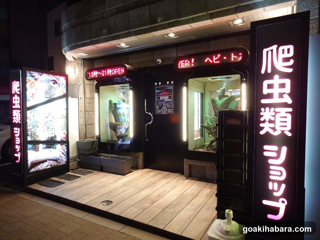 REPTILES TOKYO 秋葉原本店