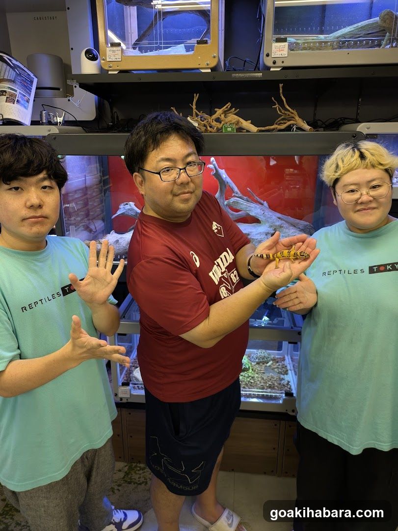 REPTILES TOKYO 秋葉原本店