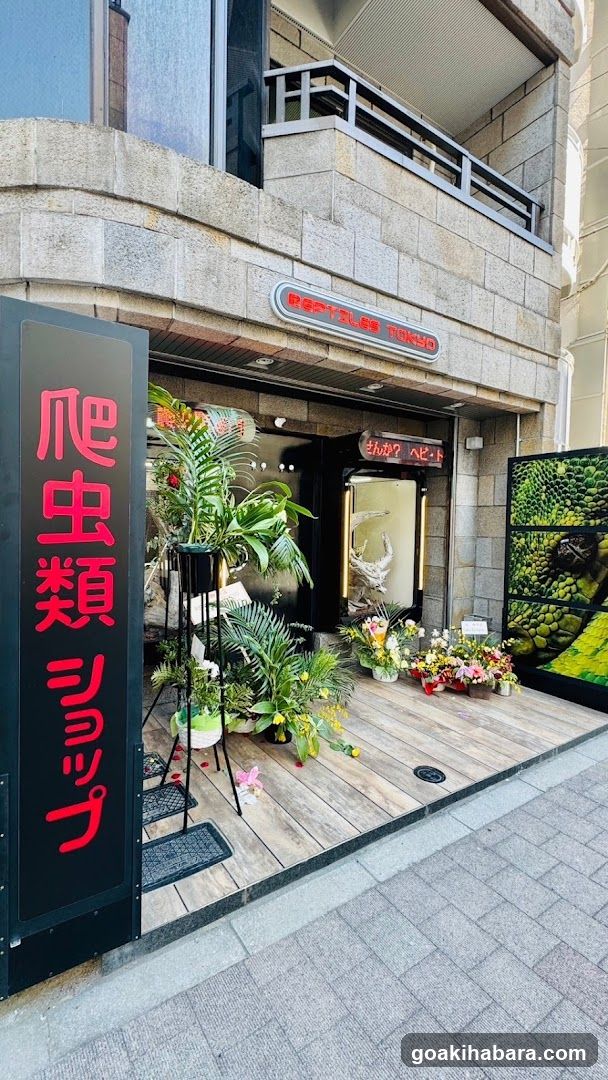 REPTILES TOKYO 秋葉原本店