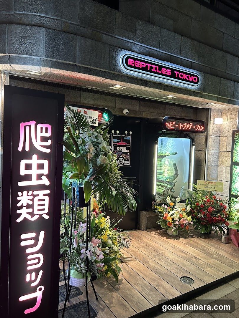 REPTILES TOKYO 秋葉原本店