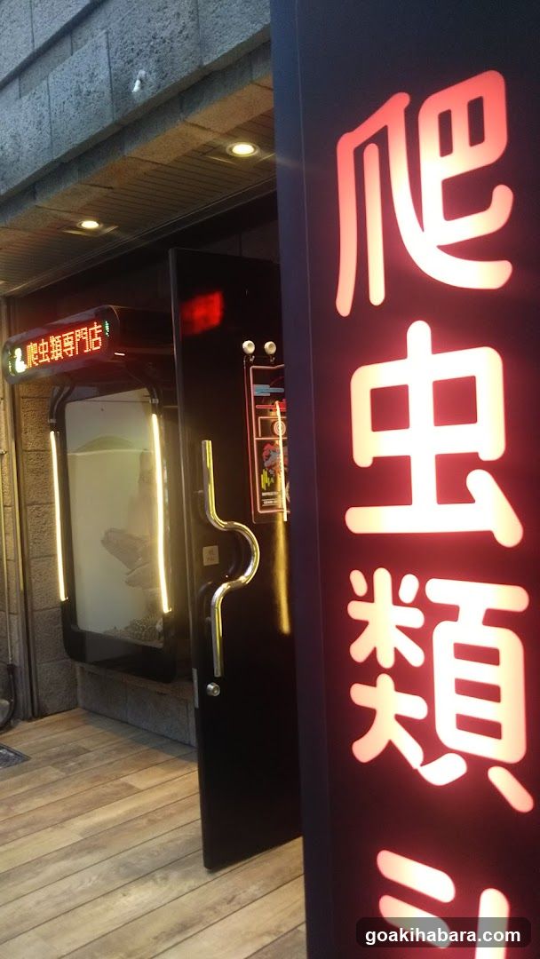 REPTILES TOKYO 秋葉原本店