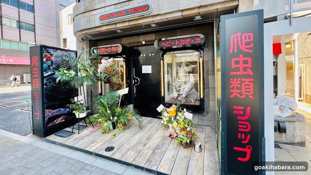REPTILES TOKYO 秋葉原本店