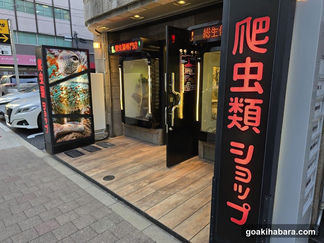 REPTILES TOKYO 秋葉原本店