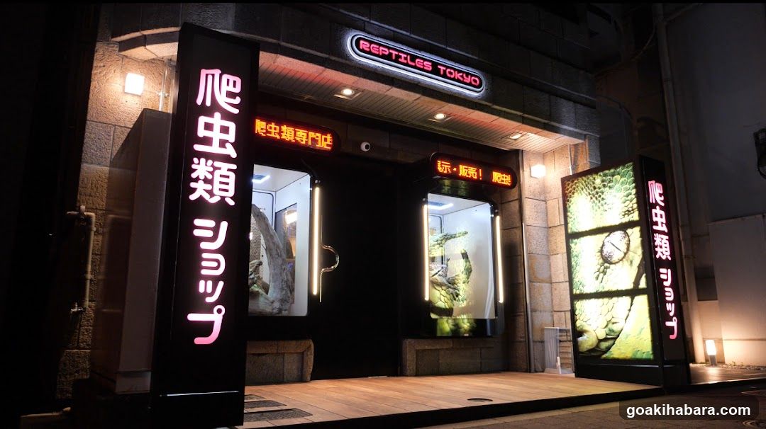 REPTILES TOKYO 秋葉原本店