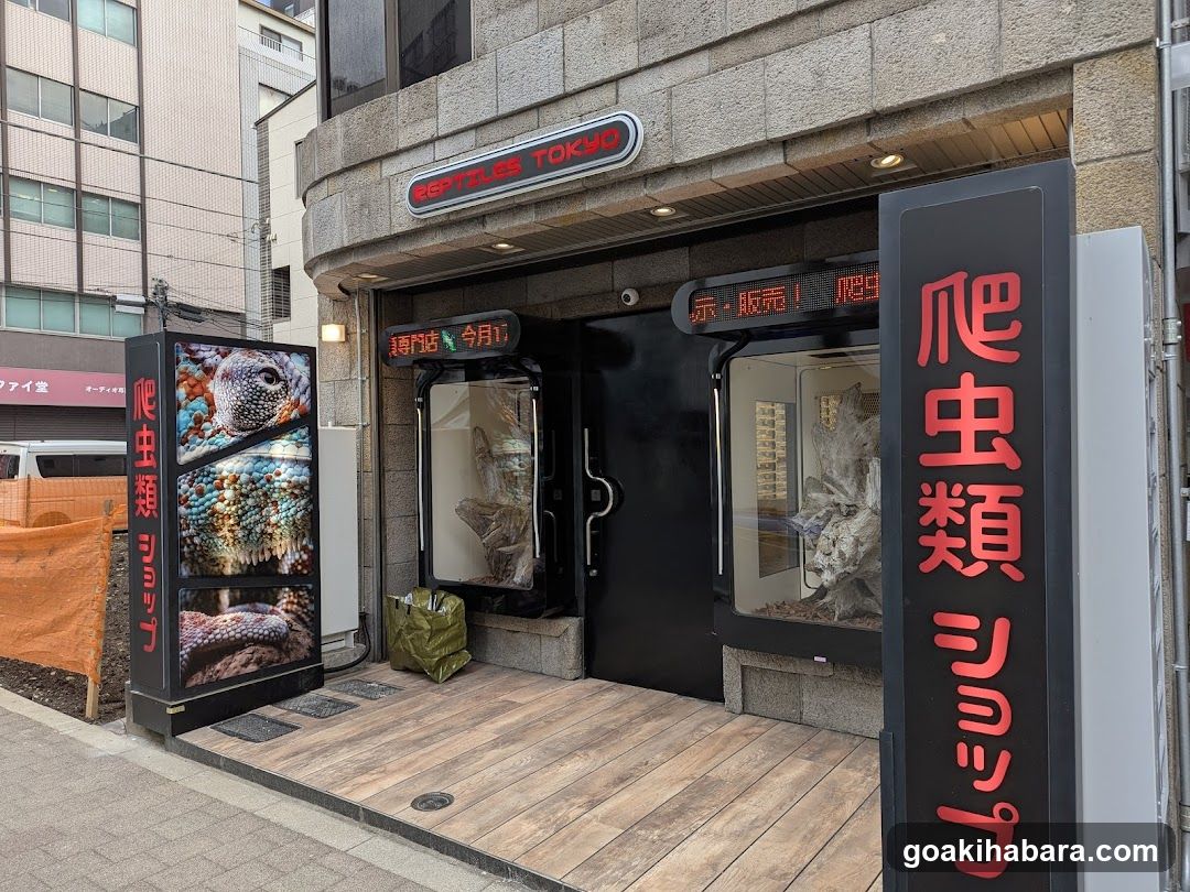 REPTILES TOKYO 秋葉原本店
