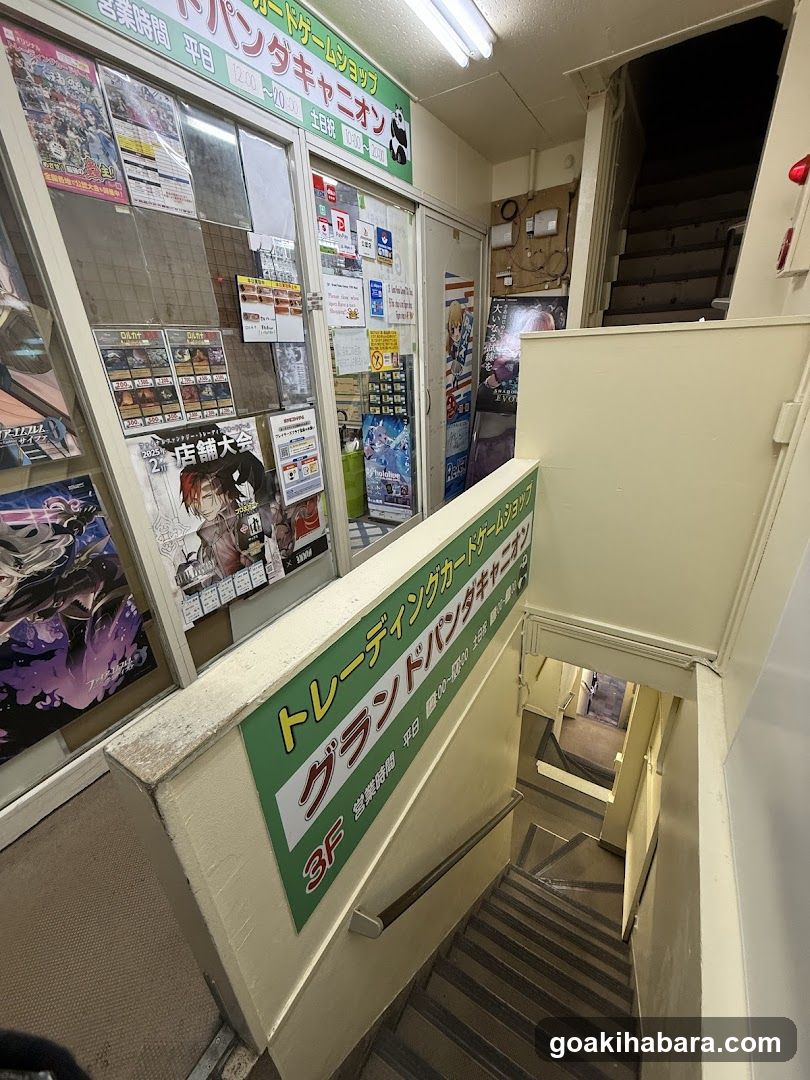 Grand Panda Canyon Akihabara