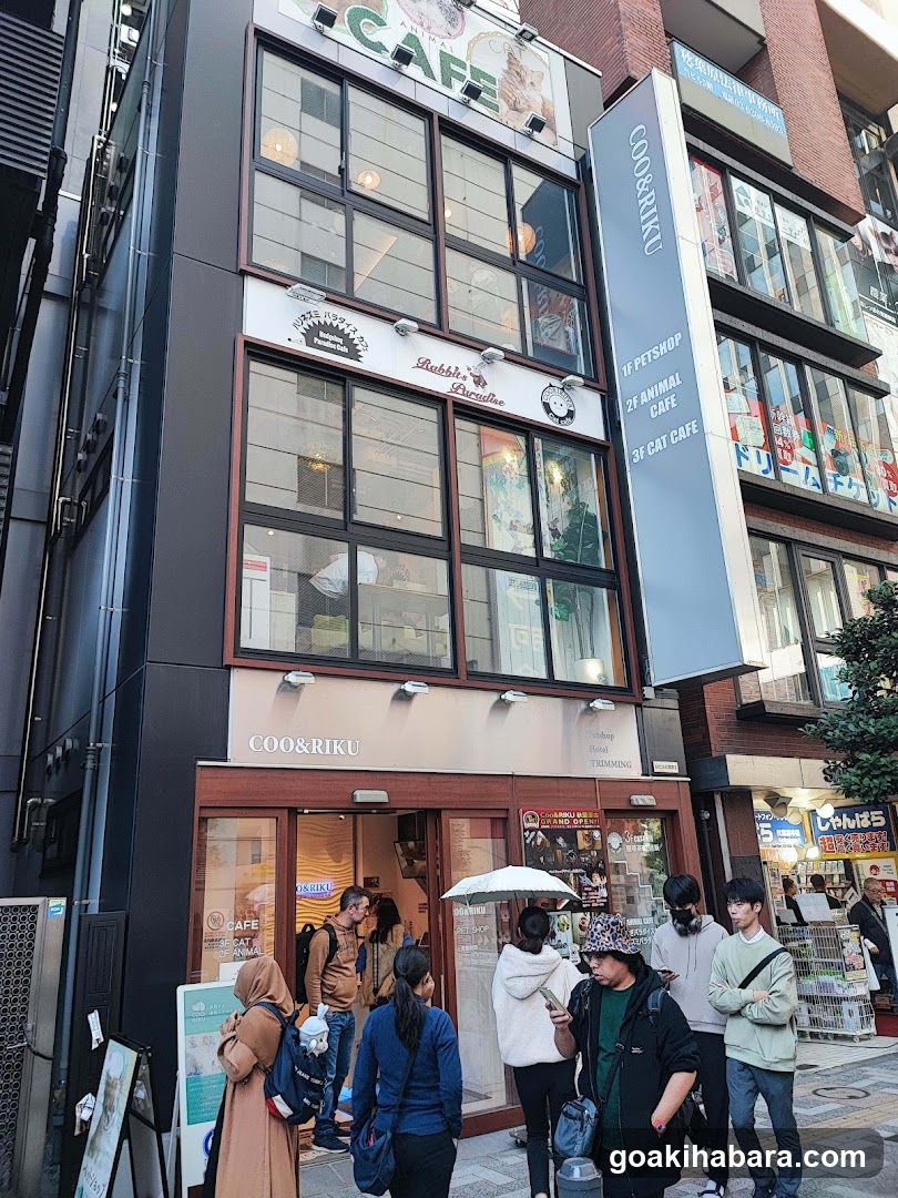 Ku Coo & RIKU Akihabaraten at Akihabara, Tokyo
