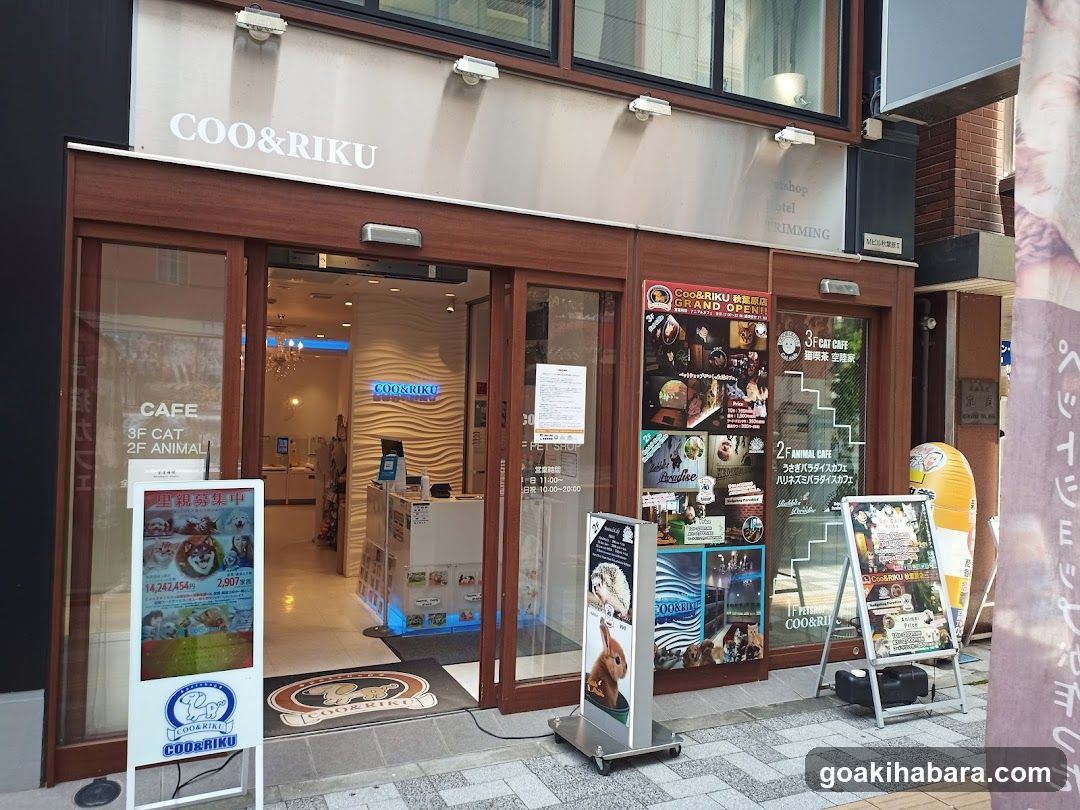 Ku Coo & RIKU Akihabaraten