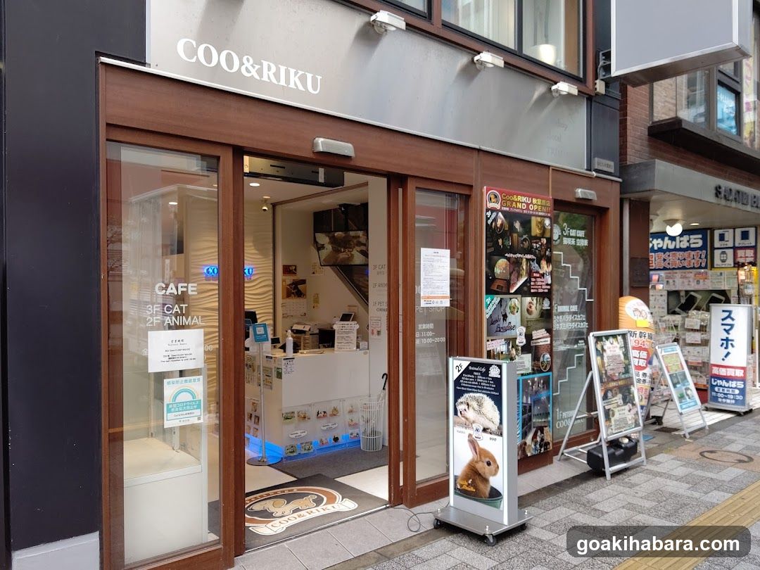 Ku Coo & RIKU Akihabaraten