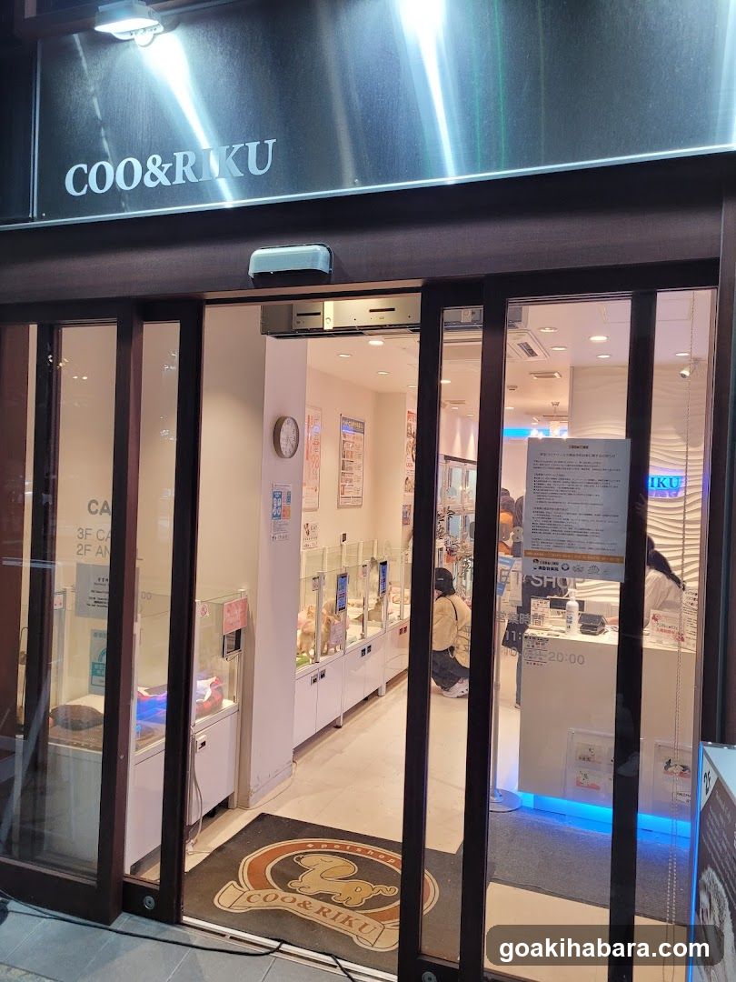 Ku Coo & RIKU Akihabaraten