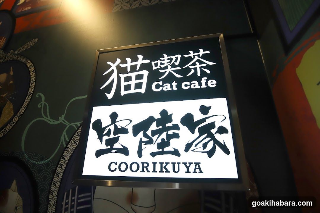 Ku Coo & RIKU Akihabaraten