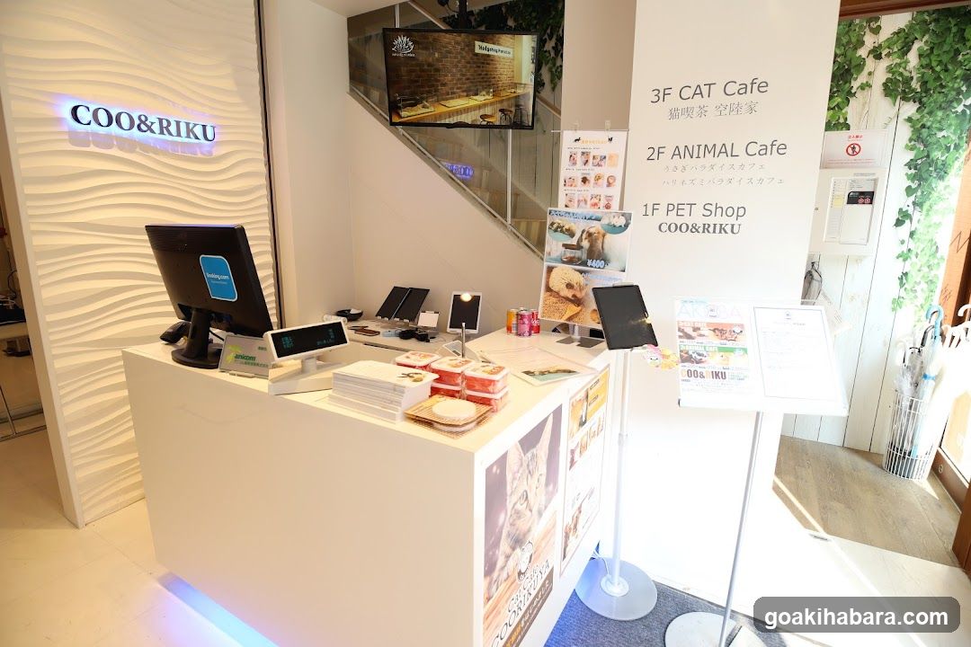 Ku Coo & RIKU Akihabaraten