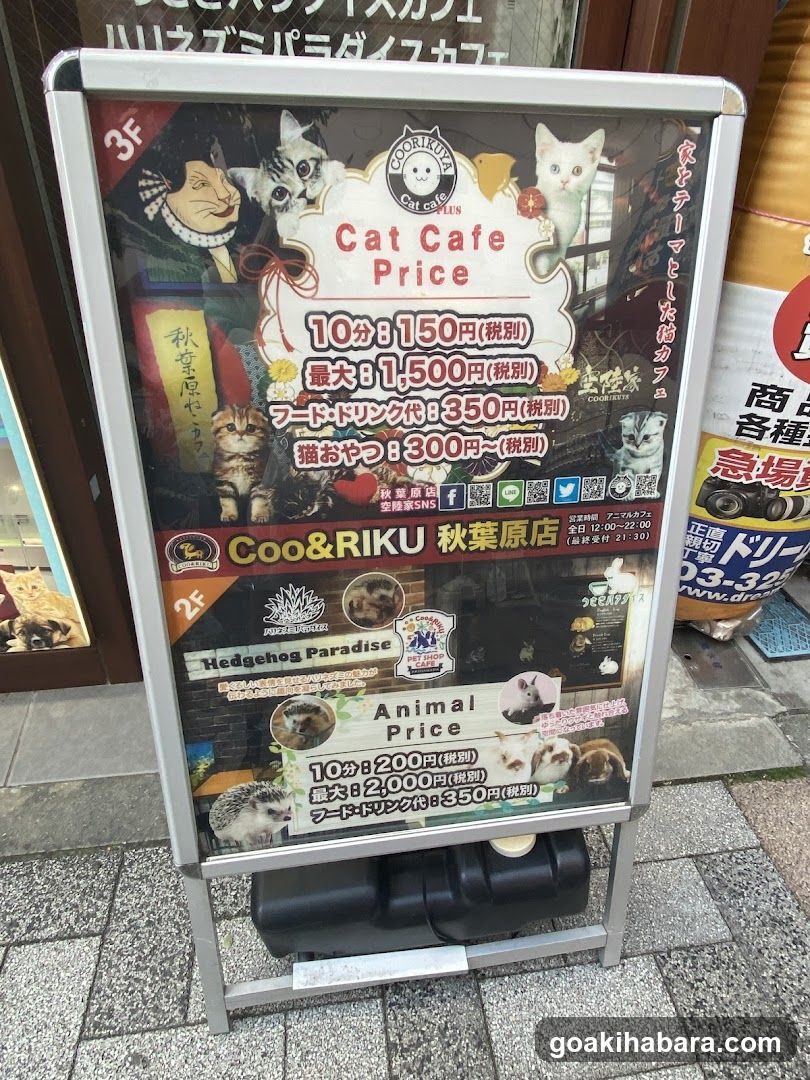 Ku Coo & RIKU Akihabaraten