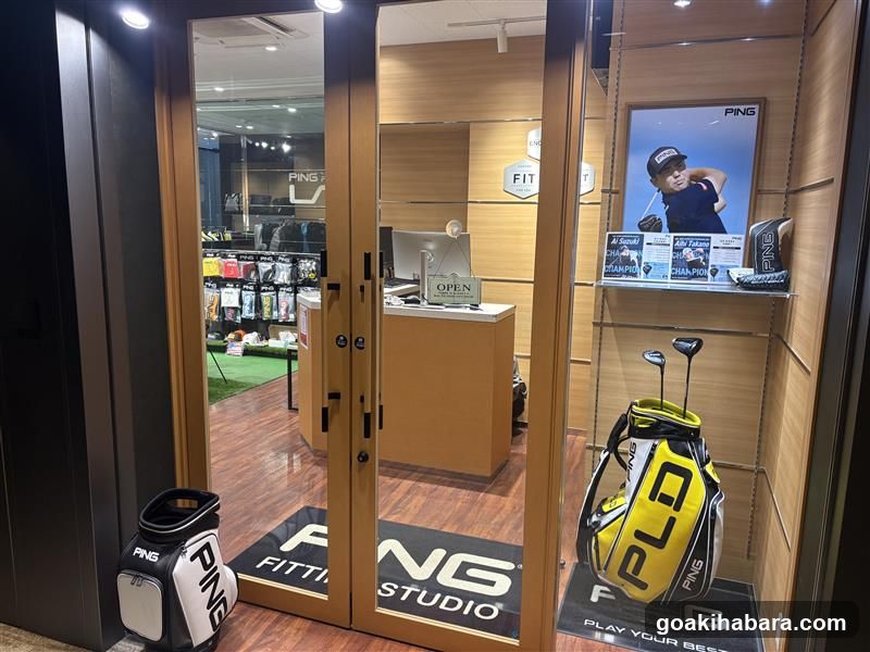 Ping Fitting Studio