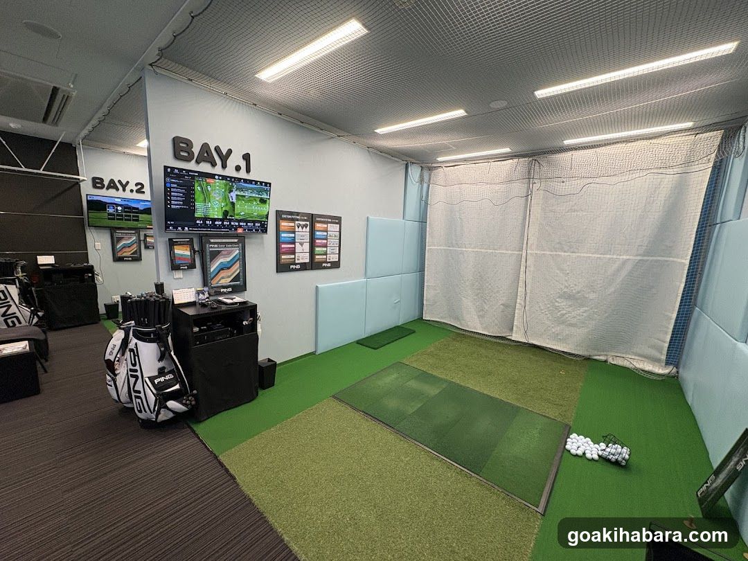 Ping Fitting Studio