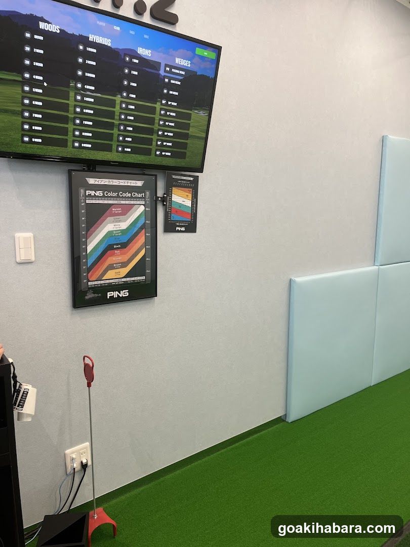 Ping Fitting Studio