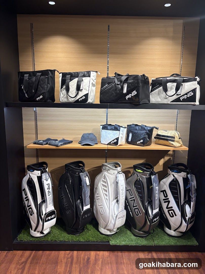 Ping Fitting Studio