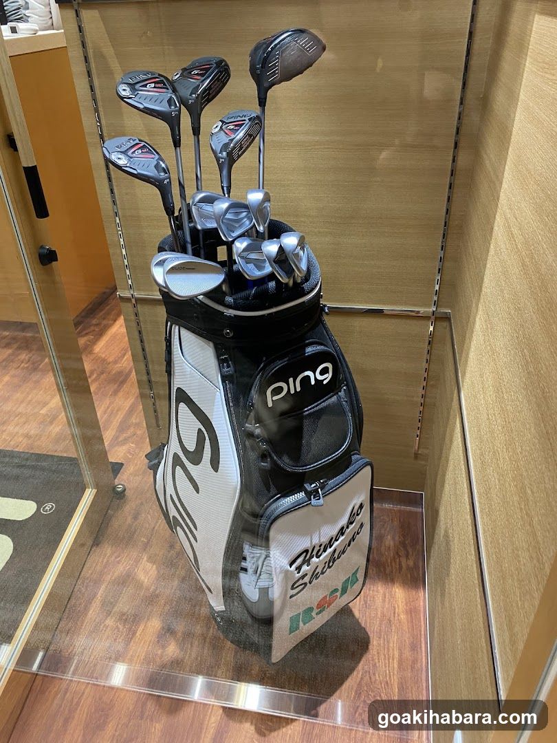 Ping Fitting Studio
