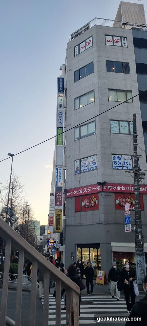 Akihabara Nisshin camera head office