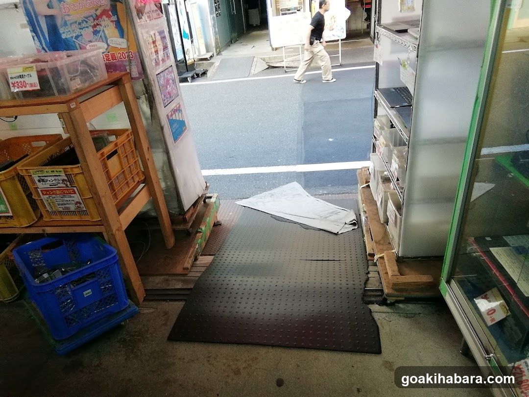 Akiba Palette Town