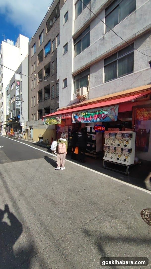 Akiba Palette Town