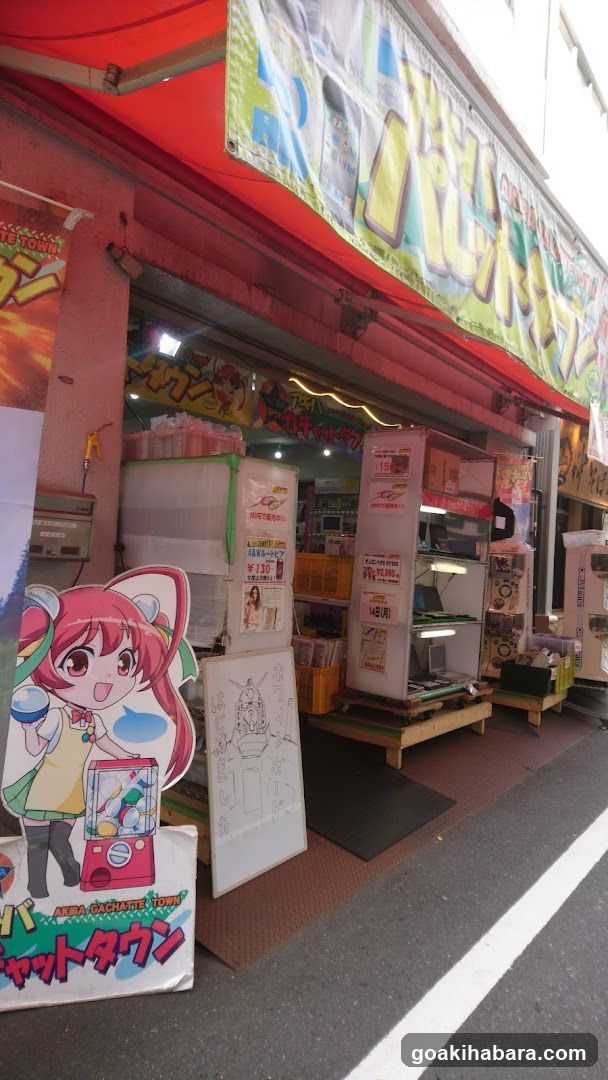 Akiba Palette Town