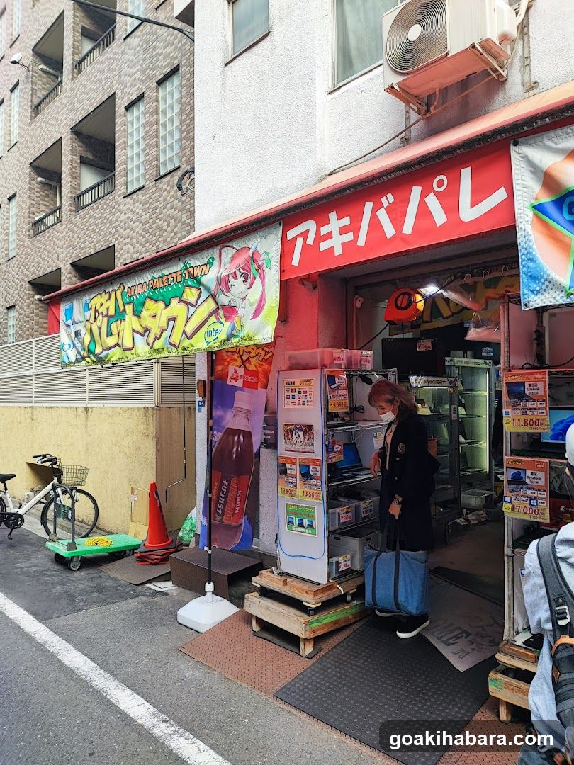 Akiba Palette Town