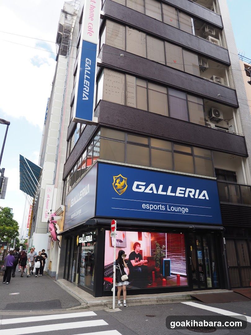 GALLERIA Lounge