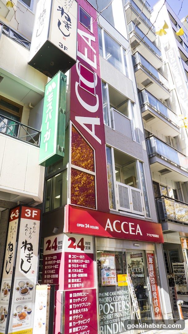Accea